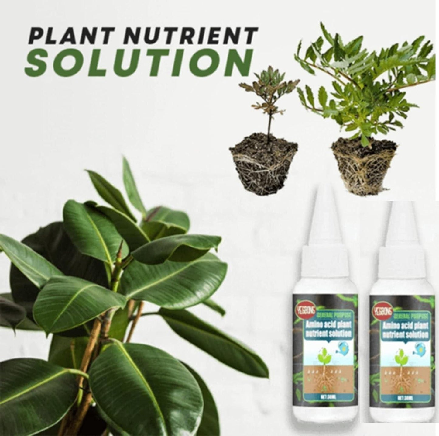 Magic Plant Nutrient Solution, Hydroponic Liquid Plant Fertilizer Nutrient Solution Seedling Recovery Root Growth (30ml)(Pack Of 2)