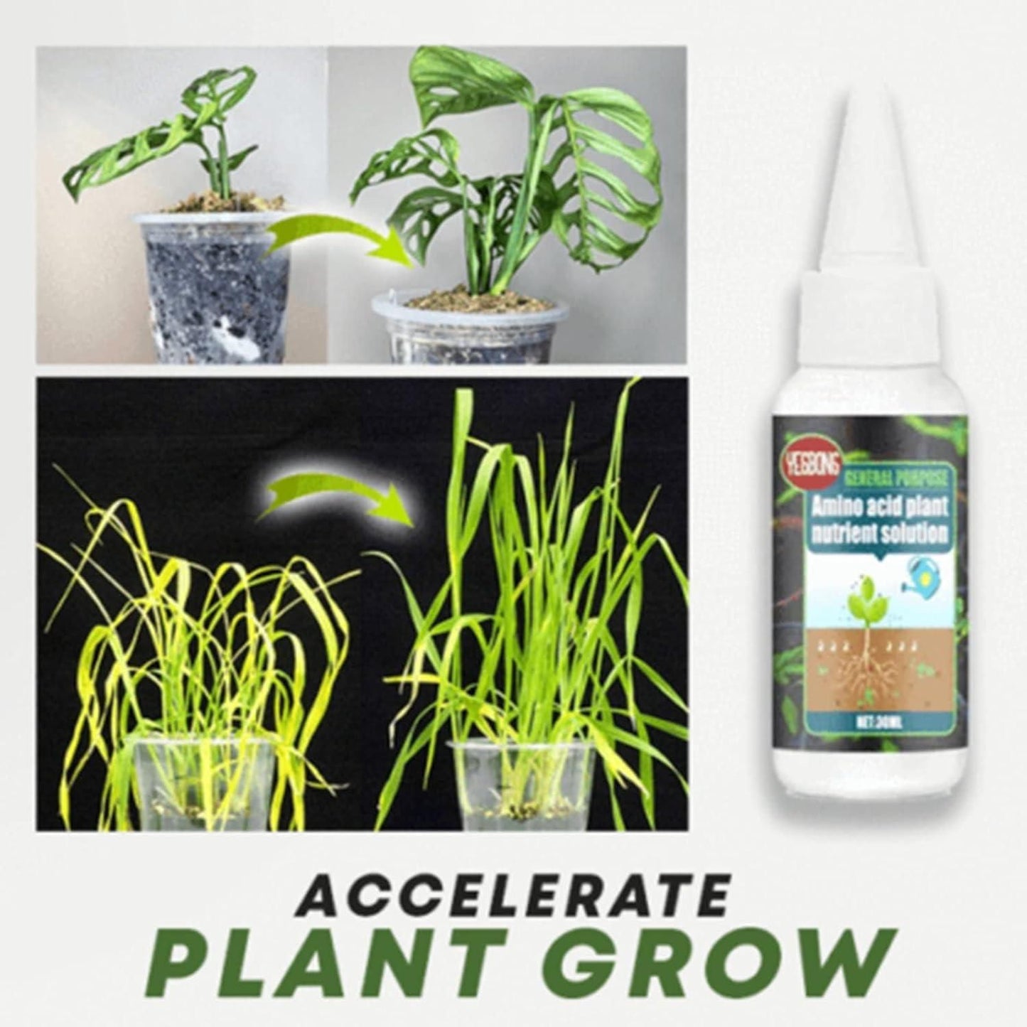 Magic Plant Nutrient Solution, Hydroponic Liquid Plant Fertilizer Nutrient Solution Seedling Recovery Root Growth (30ml)(Pack Of 2)