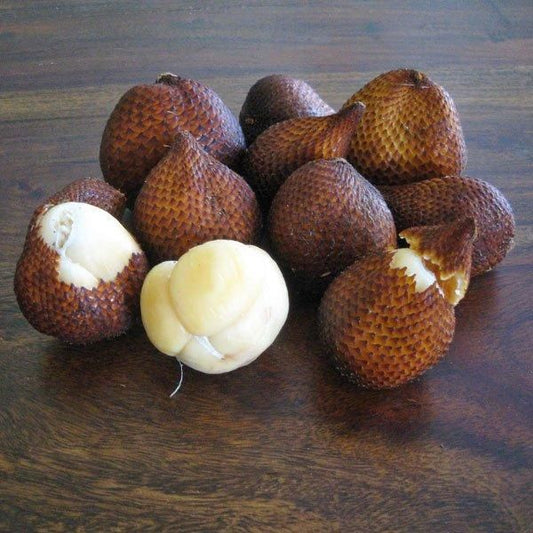 Snake Fruit Plant Seeds (Pack of 20)