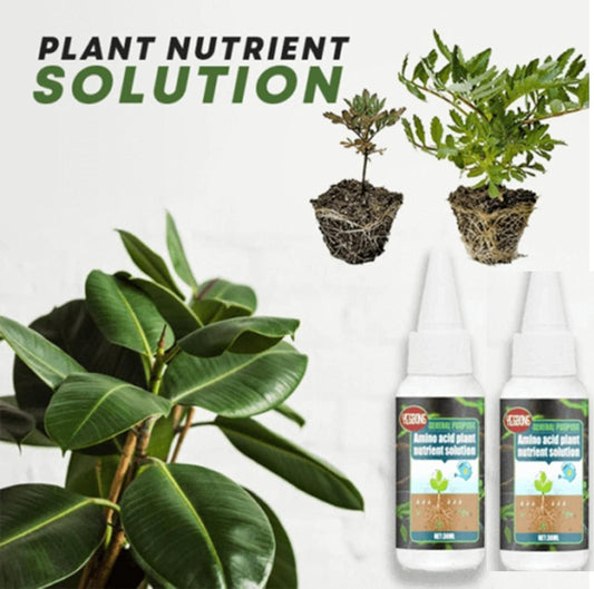 Magic Plant Nutrient Solution, Hydroponic Liquid Plant Fertilizer Nutrient Solution Seedling Recovery Root Growth (30ml)(Pack Of 2)
