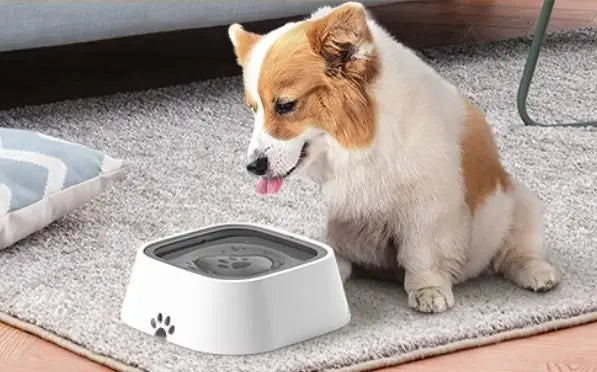 Pet