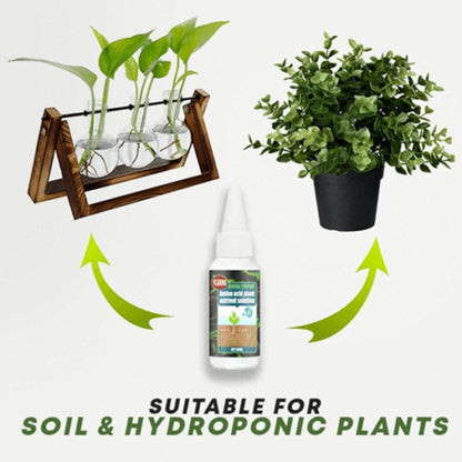 Magic Plant Nutrient Solution, Hydroponic Liquid Plant Fertilizer Nutrient Solution Seedling Recovery Root Growth (30ml)(Pack Of 2)