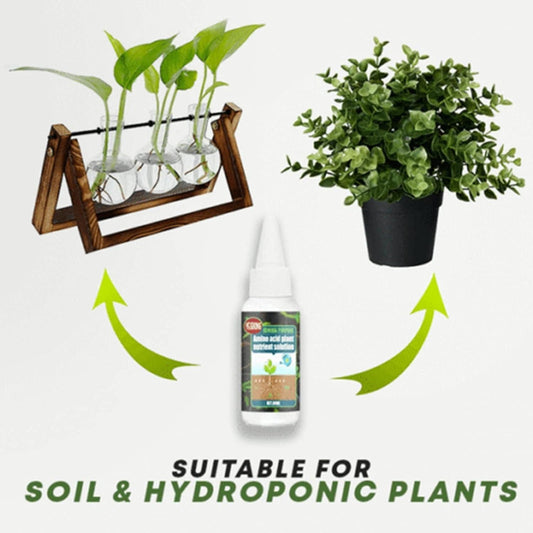 Magic Plant Nutrient Solution, Hydroponic Liquid Plant Fertilizer Nutrient Solution Seedling Recovery Root Growth (30ml)(Pack Of 2)