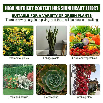 Magic Plant Nutrient Solution, Hydroponic Liquid Plant Fertilizer Nutrient Solution Seedling Recovery Root Growth (30ml)(Pack Of 2)